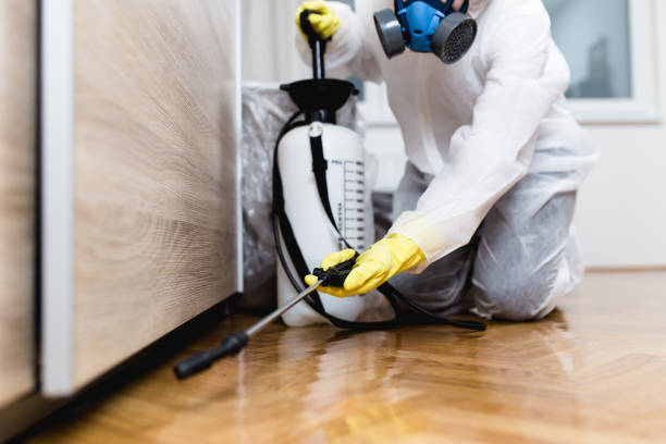 Best Ant Control Services  in West Liberty, IA
