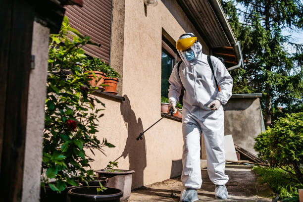 Best Cockroach Control Services  in West Liberty, IA