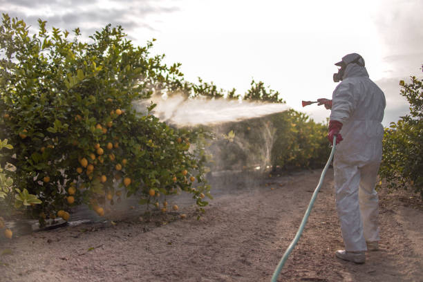Best Commercial Pest Control Services  in West Liberty, IA