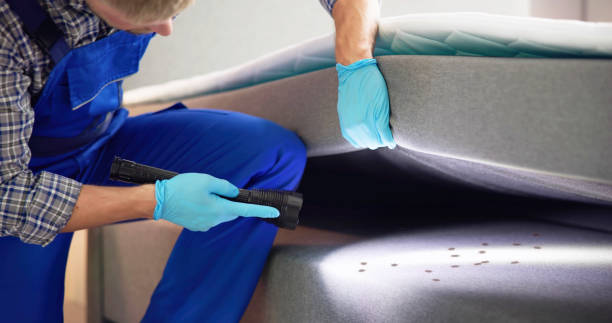 Best Termite Control Services  in West Liberty, IA