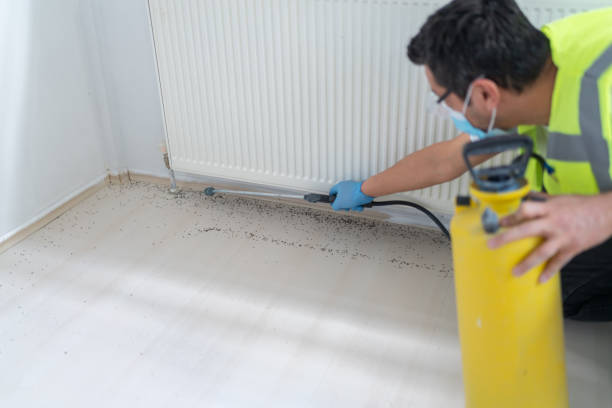 Best Exterminator Services  in West Liberty, IA