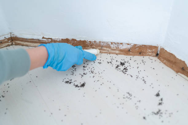 Best Emergency Pest Control  in West Liberty, IA