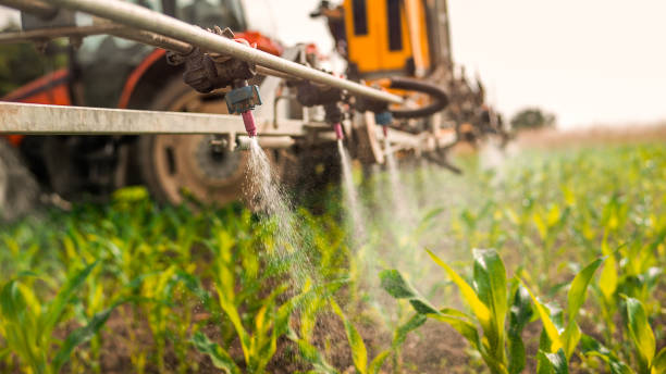 Best Pest Prevention Services  in West Liberty, IA